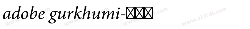 adobe gurkhumi字体转换
